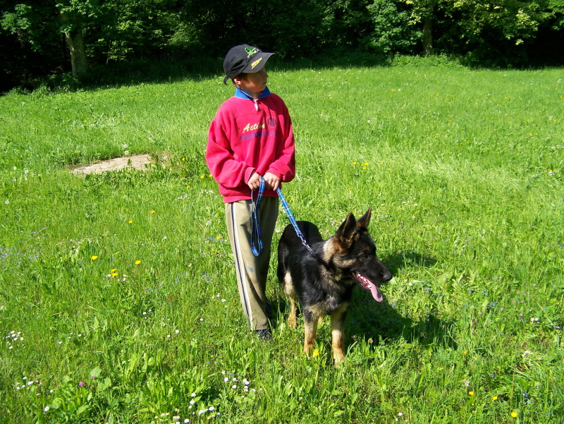 25.5.08_089.JPG