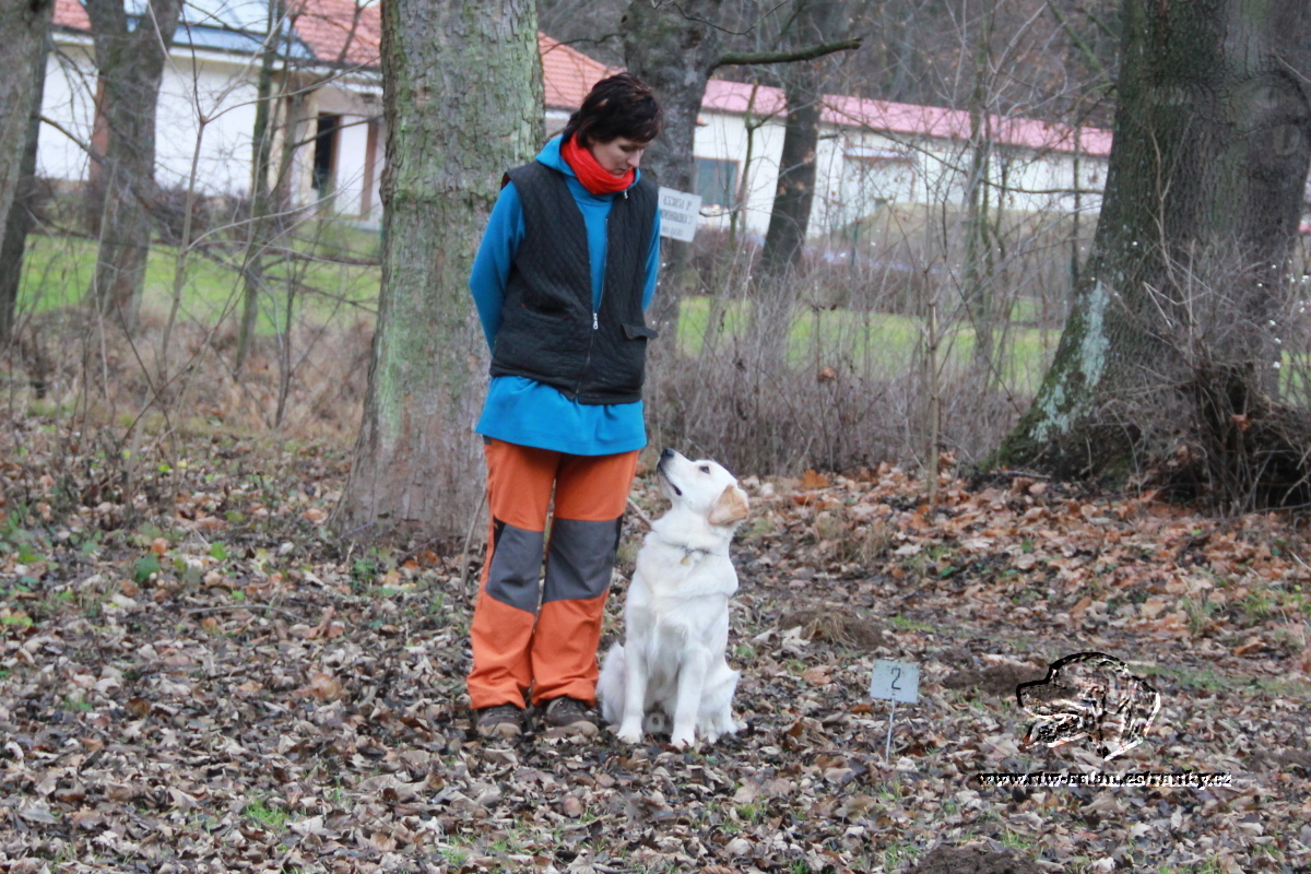 2011 prosinec 29. 110